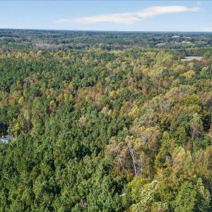 03-025_DJI_20251018135259_0746_D