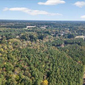 09-031_DJI_20251018135629_0775_D