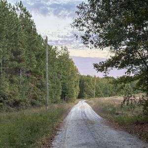 6-IMG_5067