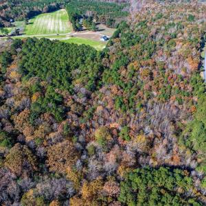 SANFORD LAND