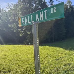 Gallant Drive