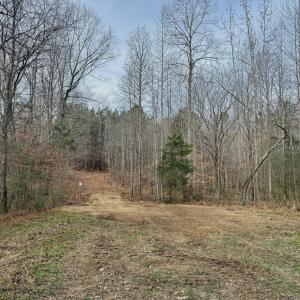 Near Creek