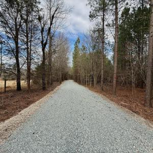 Wolf Tree Way