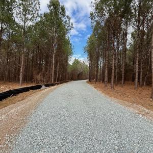 Wolf Tree Way