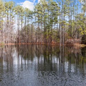 8-web-or-mls-DJI_0745