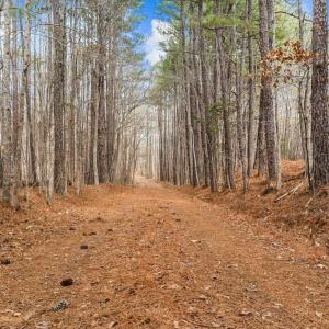 12-web-or-mls-DJI_0754