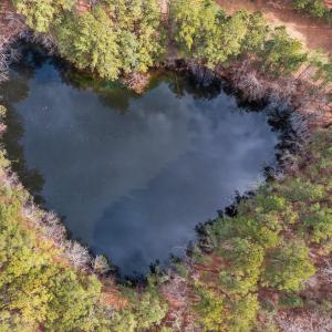 4-web-or-mls-DJI_0734