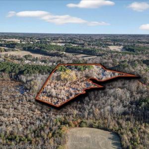 01-DJI_20251117150235_0697_D