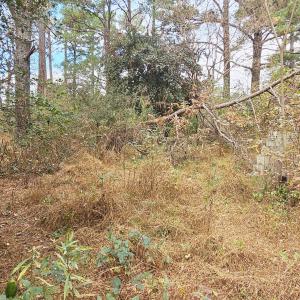 6026 Colonial - 010