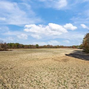 11-web-or-mls-IMG_6780