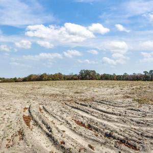 13-web-or-mls-IMG_6783