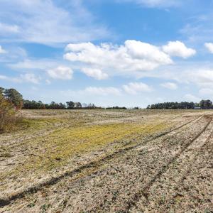 14-web-or-mls-IMG_6787