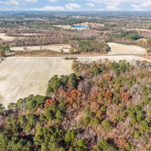 3-web-or-mls-DJI_20251118105413_0077_D