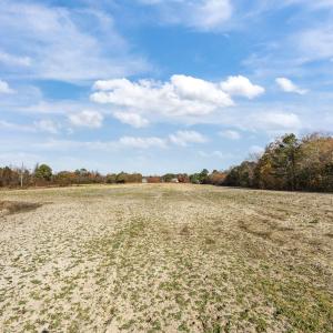 12-web-or-mls-IMG_6781