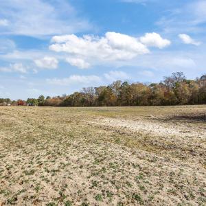 10-web-or-mls-IMG_6776