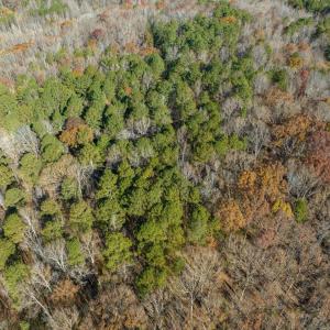 08-008-Chatham-Parcel-60852-20251117