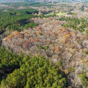 10-010-Chatham-Parcel-60852-20251117