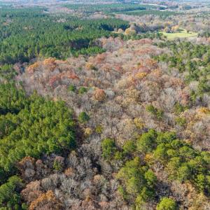 11-011-Chatham-Parcel-60852-20251117