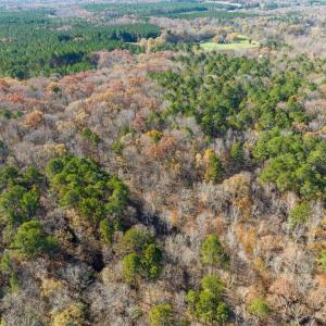 13-013-Chatham-Parcel-60852-20251117