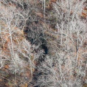 37-037-Chatham-Parcel-60852-20251201