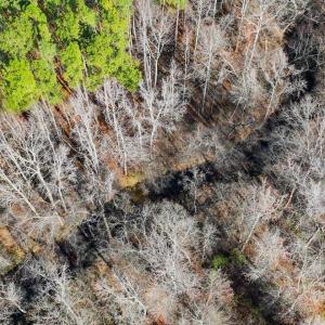 38-038-Chatham-Parcel-60852-20251201