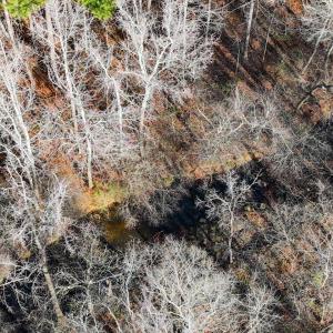 39-039-Chatham-Parcel-60852-20251201