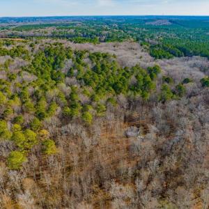 41-041-Chatham-Parcel-60852-20251201