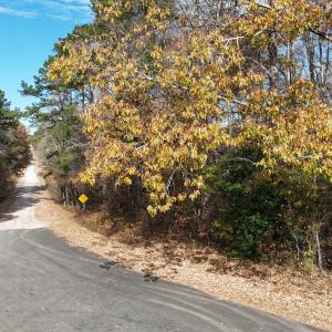 dji_fly_20251119_130040_0010_17635757858