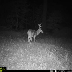 865509050858111-100-4-10082025205917-V-W