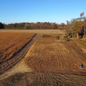 dji_fly_20251118_075628_92_1763471303910