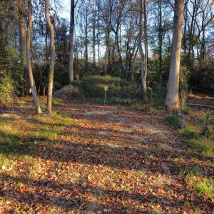 dji_fly_20251118_075730_93_1763471182026