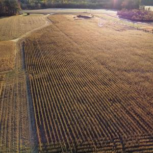 dji_fly_20251118_075830_97_1763471305032