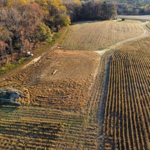 dji_fly_20251118_075924_100_176347103522