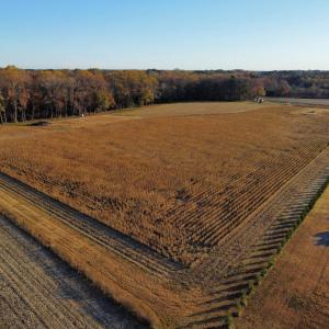 dji_fly_20251118_080000_101_176347103360