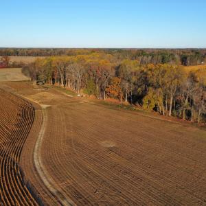 dji_fly_20251118_080110_103_176347102973