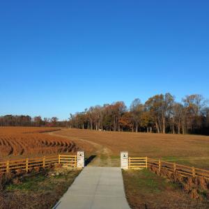 dji_fly_20251118_075528_89_1763471300530