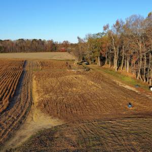 dji_fly_20251118_075616_91_1763471302767