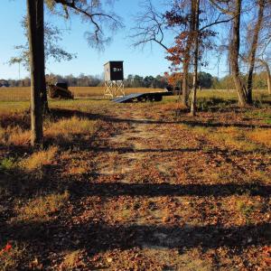 dji_fly_20251118_075754_95_1763471213396