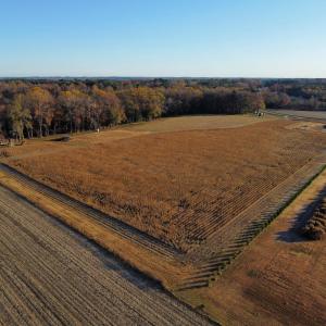 dji_fly_20251118_080012_102_176347103146