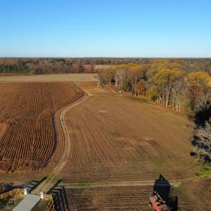 dji_fly_20251118_080134_105_176347102699