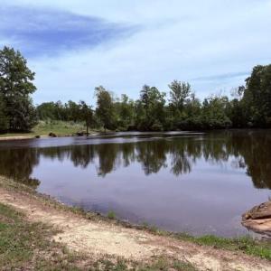 IMG_1309