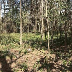 Screenshot 2025-11-25 at 2.32.12PM