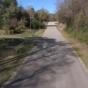 DJI_20250327094310_0013_D-scaled