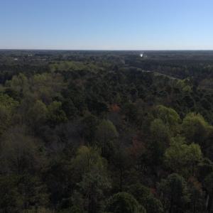 DJI_20250327094332_0015_D-scaled