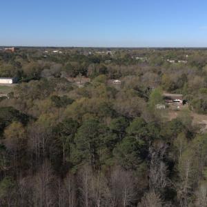 DJI_20250327094343_0018_D-scaled