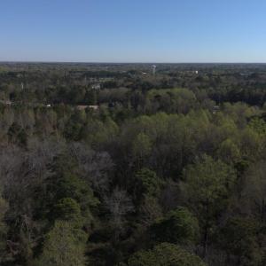 DJI_20250327094352_0021_D-scaled