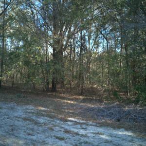 DJI_20250327094451_0023_D-scaled