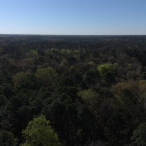 DJI_20250327094336_0016_D-scaled