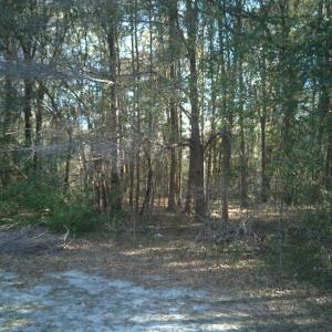 DJI_20250327094449_0022_D-scaled