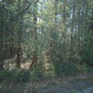 DJI_20250327094453_0024_D-scaled